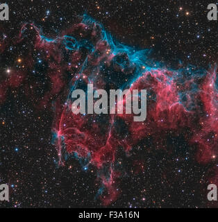 NGC 6995, die Fledermaus-Nebel, Teil der Schleier-Nebel in Cygnus. Stockfoto