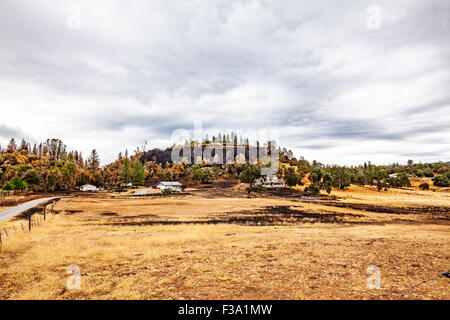 Die Zerstörung und die wunderbare Erhaltung des Eigentums in Kalifornien Butte Feuer in der Sierra Nevada in Kalifornien Stockfoto