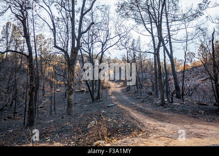 Die Zerstörung und die wunderbare Erhaltung des Eigentums in Kalifornien Butte Feuer in der Sierra Nevada in Kalifornien Stockfoto