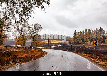 Die Zerstörung und die wunderbare Erhaltung des Eigentums in Kalifornien Butte Feuer in der Sierra Nevada in Kalifornien Stockfoto