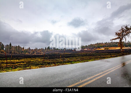 Die Zerstörung und die wunderbare Erhaltung des Eigentums in Kalifornien Butte Feuer in der Sierra Nevada in Kalifornien Stockfoto