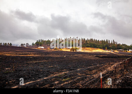 Die Zerstörung und die wunderbare Erhaltung des Eigentums in Kalifornien Butte Feuer in der Sierra Nevada in Kalifornien Stockfoto