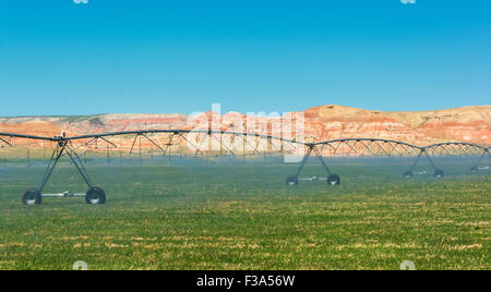 Wyoming, automatische Sprinkler-Bewässerungs-system Stockfoto