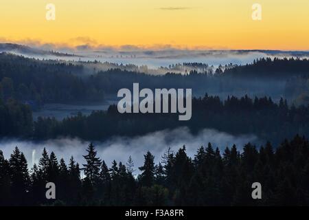 Nebligen Wald vor dem Sonnenaufgang in Finnland. Geheimnisvoller Nebel über das Land und das Wasser des Sees. Stockfoto