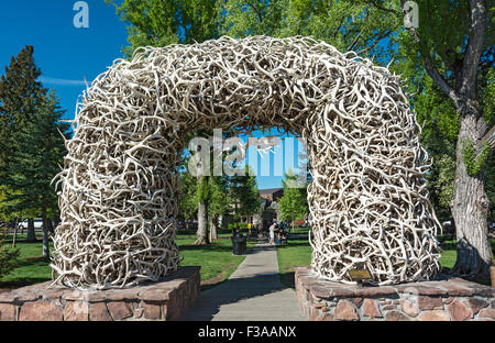 Wyoming, Jackson, George Washington Memorial Park aka Altstädter Ring Elch Geweih Bogen Stockfoto