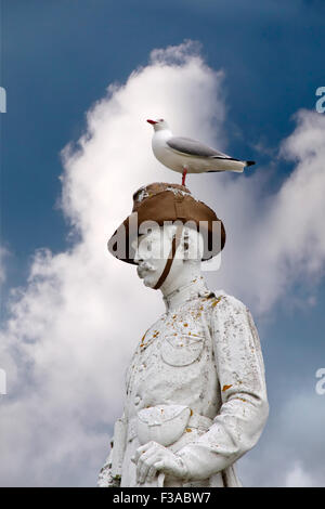 Möwe sitzt am Denkmal in Rotorua, Neuseeland Stockfoto