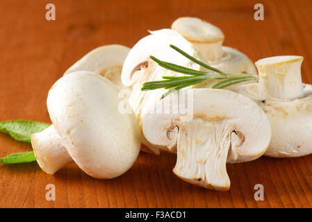 Frische Champignons und Kräuter Stockfoto