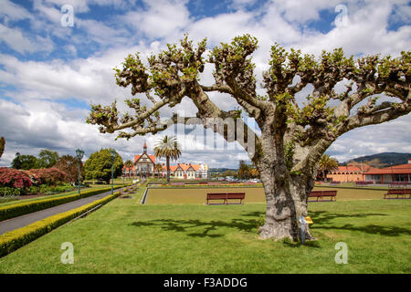 Regierung Gärten, Rotorua, Nordinsel, Neuseeland Stockfoto