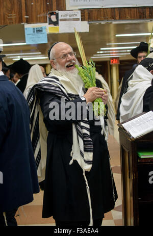 Ein religiösen jüdischer Mann hält ein Esrog & Lulaw führt Morgen Dienstleistungen an Sukkot in einer Synagoge in Brooklyn, New York Stockfoto