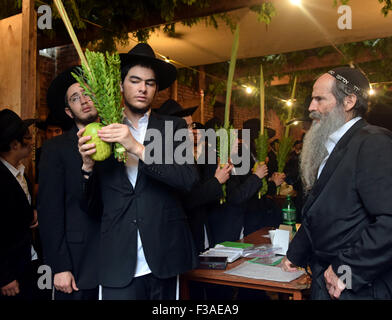 Religiöse jüdische Männer Segen Esrog und Lulv in eine Laubhütte in Brooklyn, New York, während des jüdischen Feiertages von Sukkot. Stockfoto