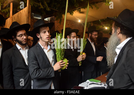 Religiöse jüdische Männer Segen Esrog und Lulv in eine Laubhütte in Brooklyn, New York, während des jüdischen Feiertages von Sukkot. Stockfoto