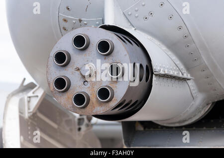 Nahaufnahme von 30 mm GAU-8/A Avenger rotary Autokanone in der Nase eine Fairchild-Republik a-10 Thunderbolt II Stockfoto