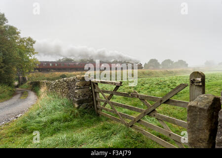 Lange Preston, North Yorkshire, UK. 3. Oktober 2015. An einem nebligen Herbstmorgen in den Yorkshire Dales Dampf fünf schwarze Lok "Sherwood Förster" Hols eine Dampf besondere Exkursion durch das Dorf von langen Preston auf dem Weg nach Carlisle, über die Bahnstrecke Settle und Carlisle. Bildnachweis: John Bentley/Alamy Live-Nachrichten Stockfoto