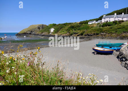 Abercastle an der Nordküste Pembrokeshire, Wales UK Stockfoto