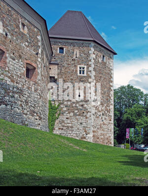 Burg von Ljubljana, Slowenien, Europa Stockfoto