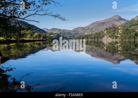 Yr Aran gesehen vom Ufer Llyn Gwynant im Snowdonia National Park, Wales Stockfoto