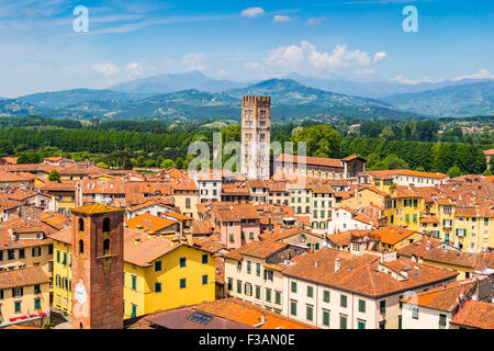 Blick über die italienische Stadt Lucca mit typischen Terrakottadächer Stockfoto