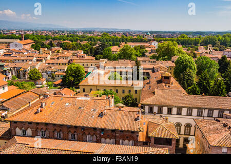 Blick über die italienische Stadt Lucca mit typischen Terrakottadächer Stockfoto