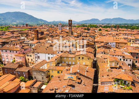 Blick über die italienische Stadt Lucca mit typischen Terrakottadächer Stockfoto