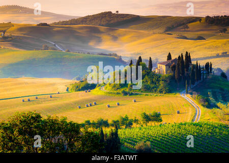 Toskana, einsamen Bauernhaus in den grünen und goldenen Land Hügeln des Val d ' Orcia, am frühen Morgen. Italienische Landschaft. Stockfoto