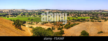 Landschaftsblick auf die Weinberge in den Foxen Canyon Trail Weinregion in Santa Barbara County, Kalifornien Stockfoto