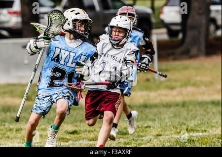 Junior Lacrosse-Spieler wetteifern um den ball Stockfoto