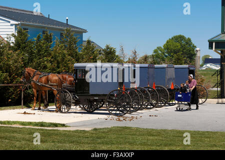 Amish Frau drücken Warenkorb mit zwei Kinder mit einer Reihe von Amish Pferd und Wagen angekuppelt bei Rail Pennsylavania USA Stockfoto