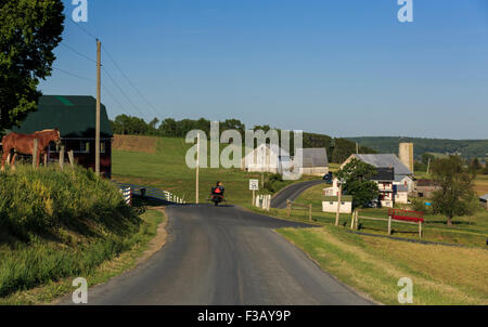 Lancaster County, Pennsylvania Amish Pferd und Buggy auf Land Straße vorbei an landwirtschaftlichen Gebäuden Stockfoto