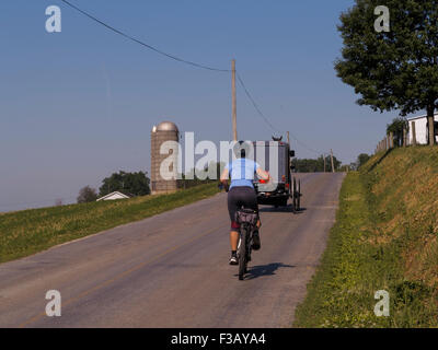 Radfahrerin, die einem Amish-Pferd und einem Buggy entlang einer Landstraße folgt. Lancaster County Pennsylvania USA Stockfoto