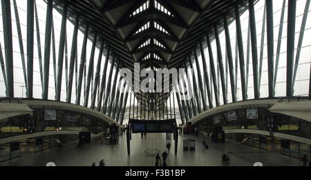 Bahnhof St. Exupery Lyon, Frankreich Stockfoto