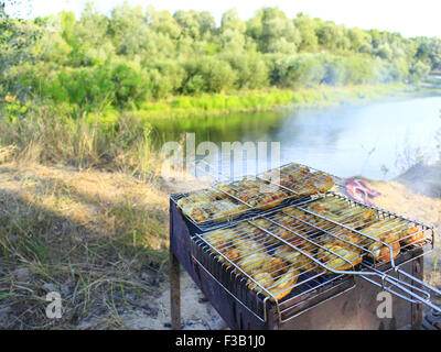 appetitlich Grill von Henne Fleisch gekocht in der Natur Stockfoto