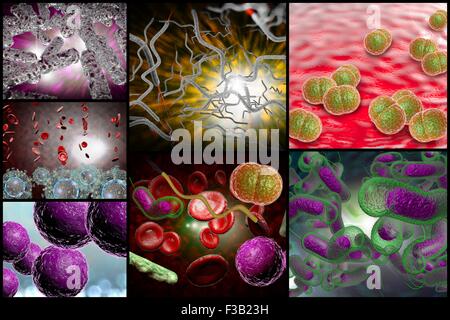 3D Mikroskop Nahaufnahme von verschiedenen Bakterien im Collage Bilder Stockfoto
