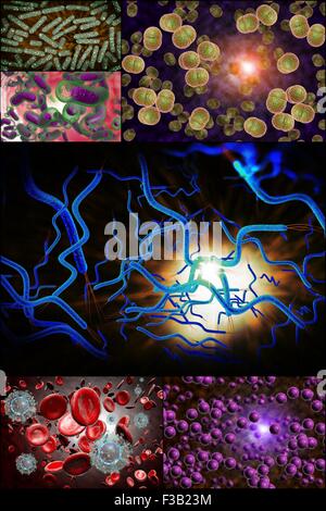 3D Mikroskop Nahaufnahme von verschiedenen Bakterien im Collage Bilder Stockfoto