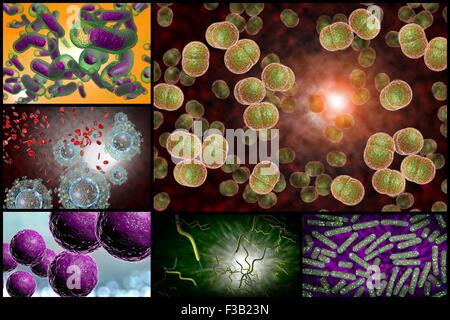 3D Mikroskop Nahaufnahme von verschiedenen Bakterien im Collage Bilder Stockfoto