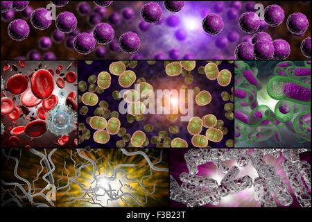 3D Mikroskop Nahaufnahme von verschiedenen Bakterien im Collage Bilder Stockfoto