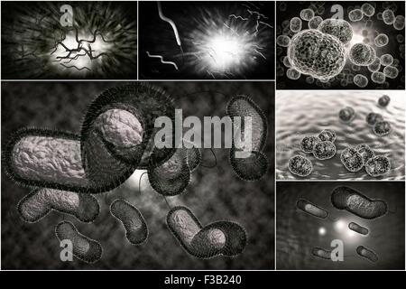 3D Mikroskop Nahaufnahme von verschiedenen Bakterien im Collage Bilder Stockfoto