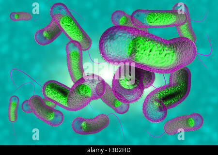 3D Darstellung der mikroskopischen Cholera-Bakterien-Infektion hautnah Stockfoto