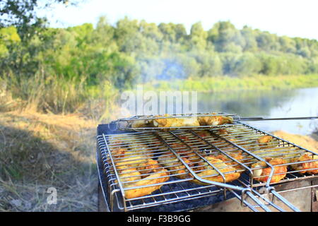 appetitlich Grill von Henne Fleisch gekocht in der Natur Stockfoto