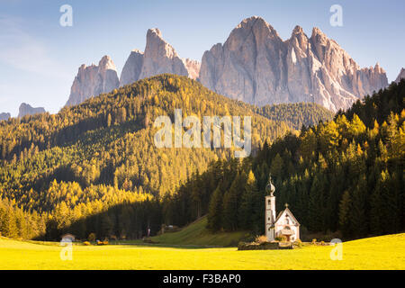 Dolomiten Alpen, Geisler, Italien. Val di Funes mit Kirche Santa Maddalena, Berge und Wald im Herbst. Stockfoto