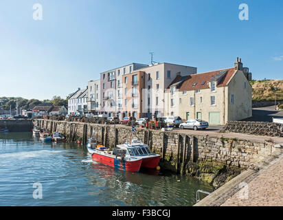 Ein Fischerboot ist nur an der Pier im Hafen von St. Andrews Fife Schottland mit Muscheln angekommen. Stockfoto