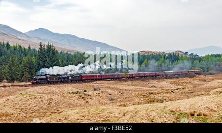 Dampfmaschinen Sie, die K4 61994 The Great Marquess und 8F 48151 Gauge O'Guild ein spezielles durch Glen Falloch südlich von Crianlarich ziehen Stockfoto