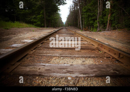 Alte hölzerne Gleise laufen durch die Landschaft Stockfoto