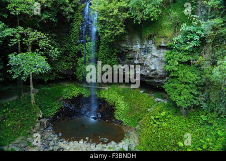 Crystal Dusche fällt entlang der Wonga Spaziergang im Dorrigo National Park, Dorrigo, NSW, Australien. Stockfoto