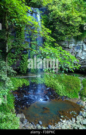 Crystal Dusche fällt entlang der Wonga Spaziergang im Dorrigo National Park, Dorrigo, NSW, Australien. Stockfoto