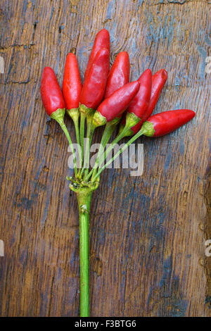 Draufsicht auf Haufen rote scharfe Chilischoten auf alten rustikalen hölzernen Hintergrund Stockfoto