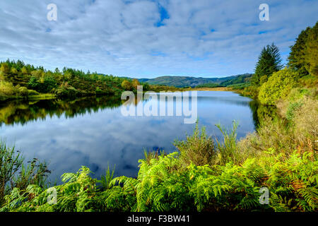 Frühherbst in Lochan Reoidhte in the Trossachs National Park, Schottland Stockfoto