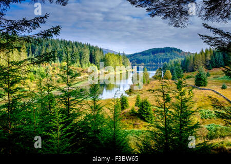 Loch Drunkie in der Tossachs National Park, Schottland im Herbst Stockfoto