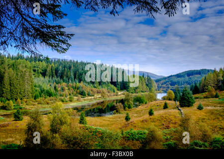 Loch Drunkie in der Tossachs National Park, Schottland im Herbst Stockfoto