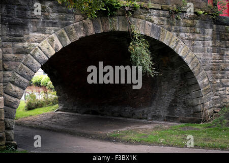 Eine Verzweigung, von oben auf einen Tunnel zu fallen. Stockfoto