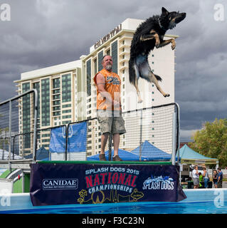 Las Vegas, Nevada, USA. 4. Oktober 2015. JODY EDMONSON und seine Belgische Malinois-Mix, Boo Boo, konkurrieren während die 2015 Splash Hund Meisterschaften. © Brian Cahn/ZUMA Draht/Alamy Live-Nachrichten Stockfoto